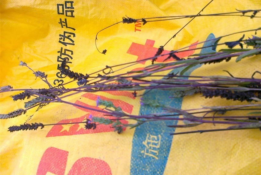 产品供应图