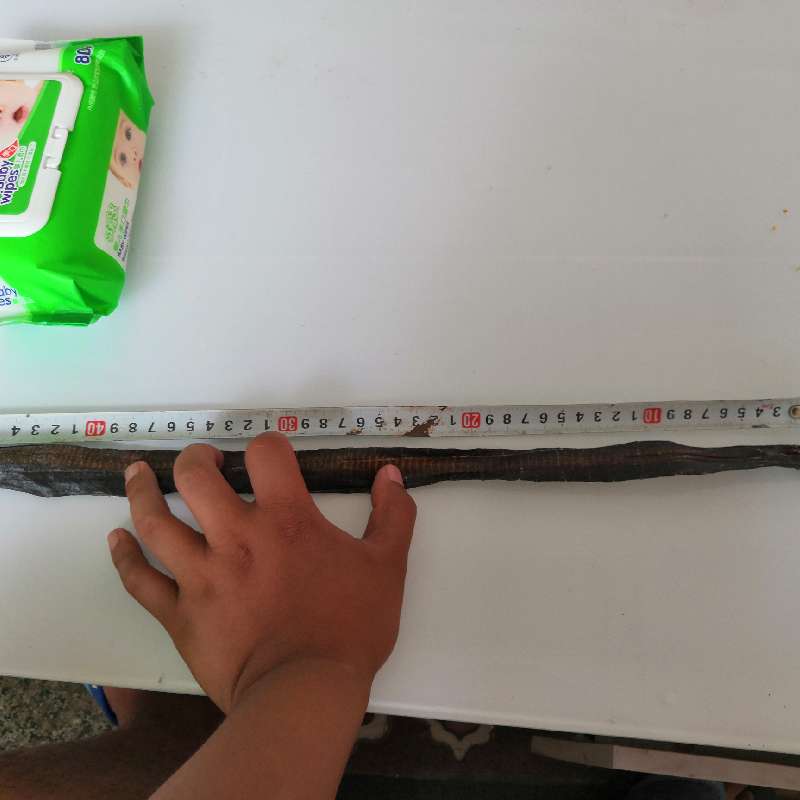 产品供应图