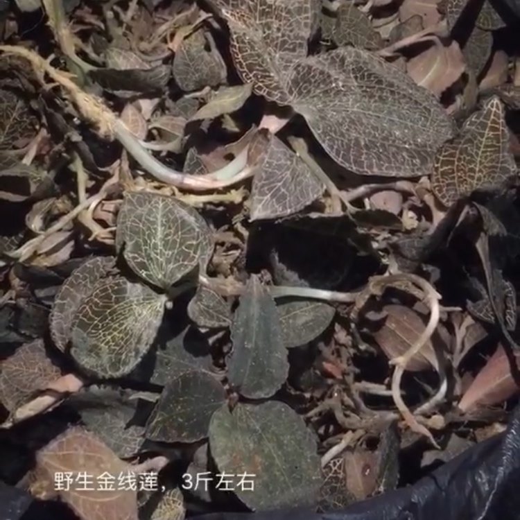 产品供应图
