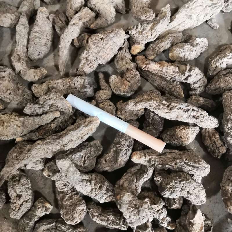 中药材