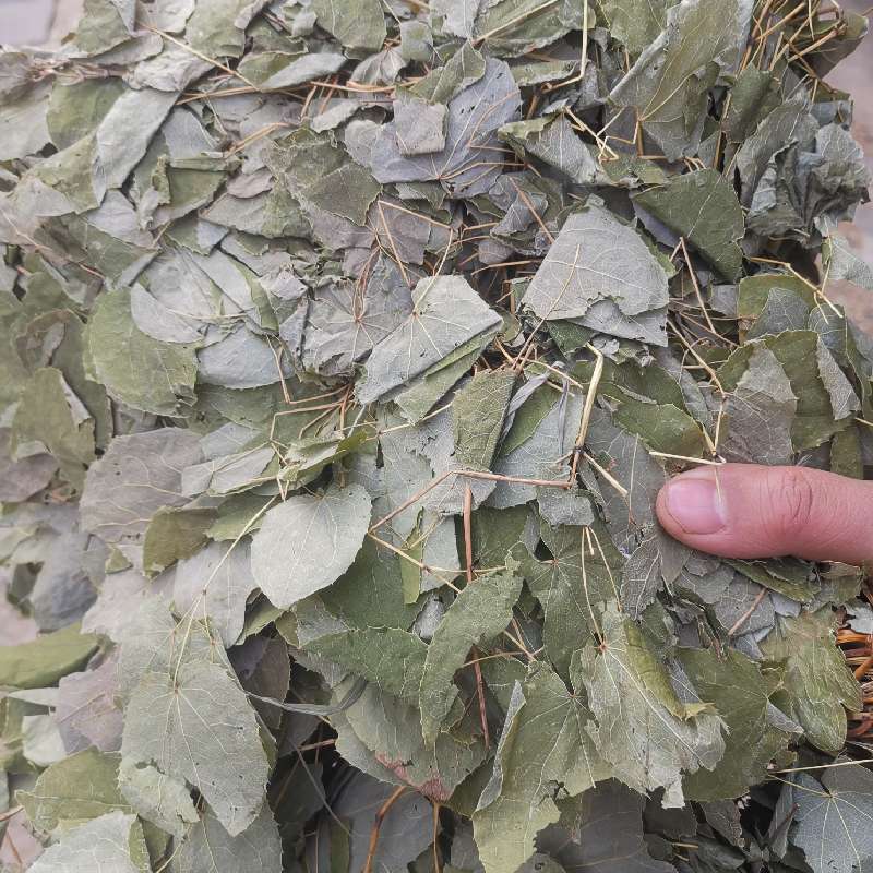中药材