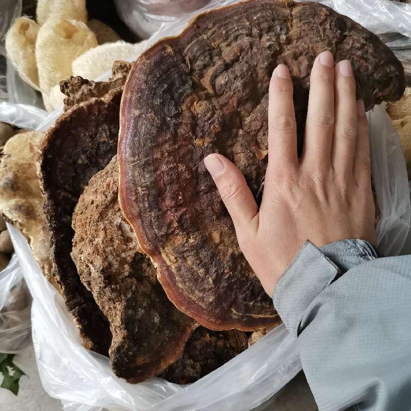 产品供应图