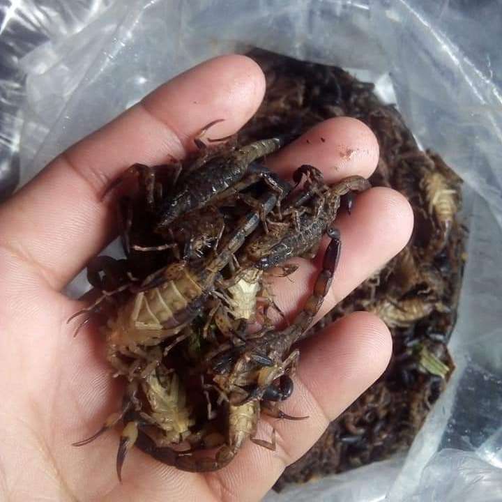 产品供应图