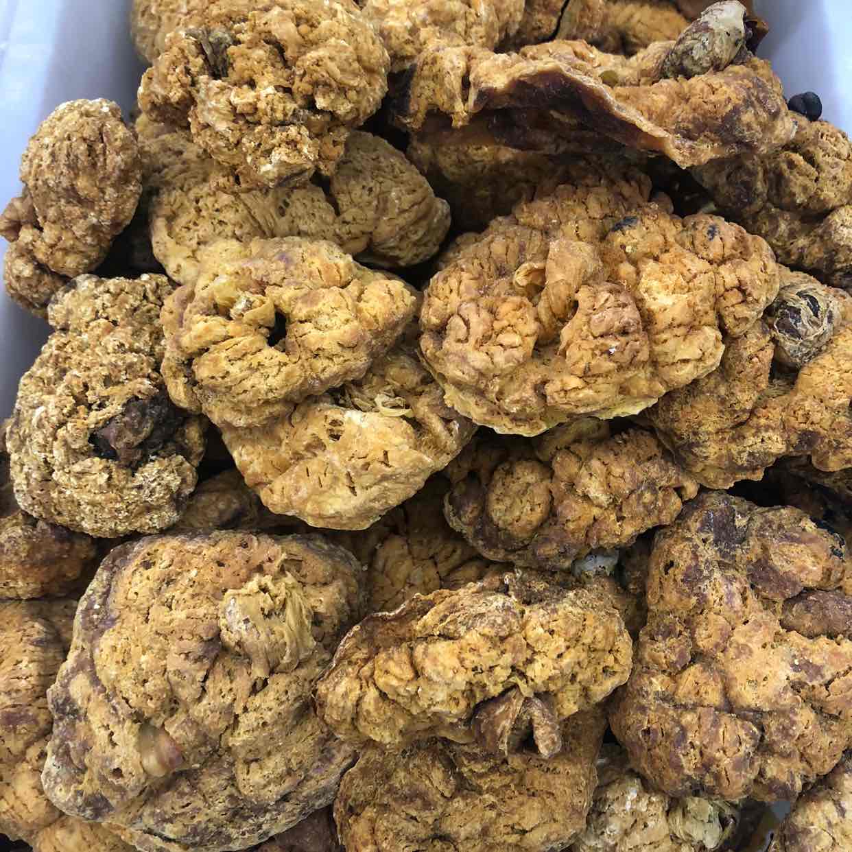 郭廷丽供应紫河车_中药材天地网