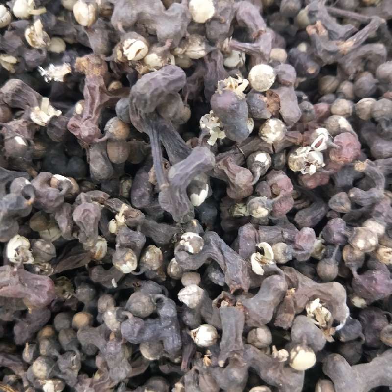 常桂连漩艺药业供应拐枣七_中药材天地网