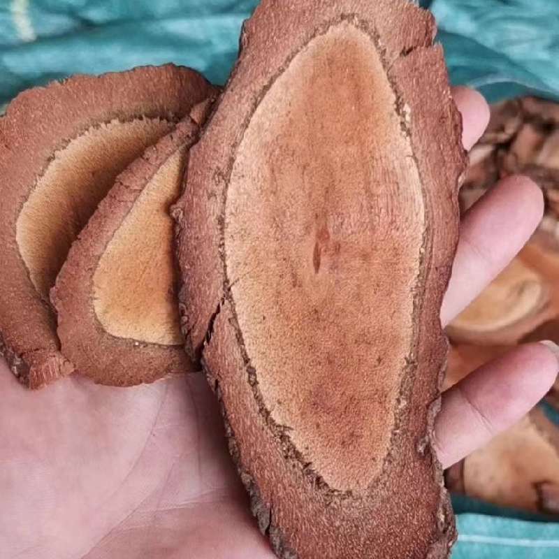 攀林药材供应黑老虎_中药材天地网