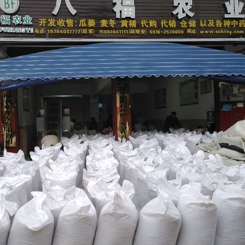 邱明安产地供应麦冬_中药材天地网