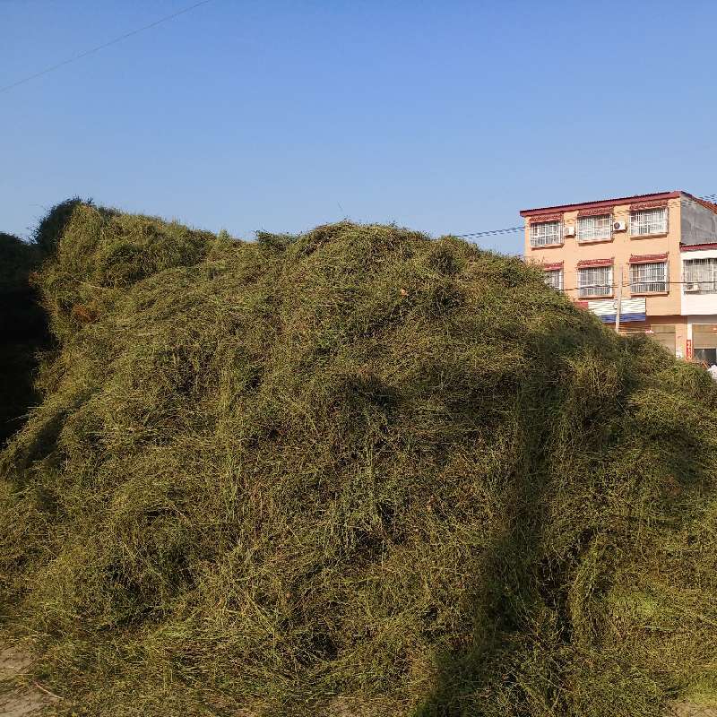 中药材
