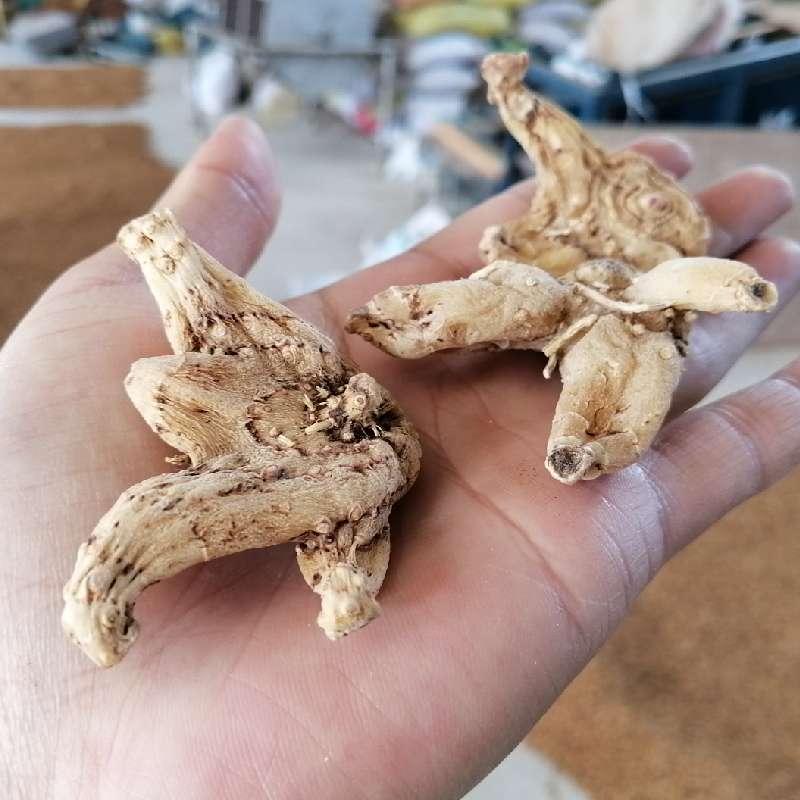 白及价格_中药材天地网