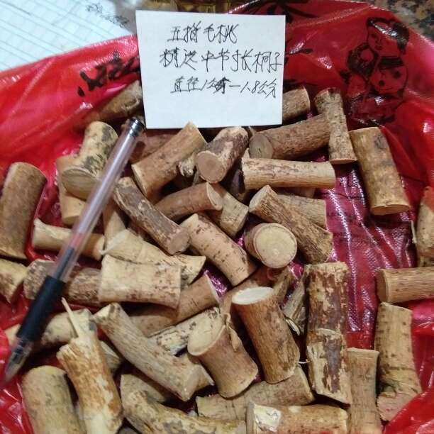 中药材