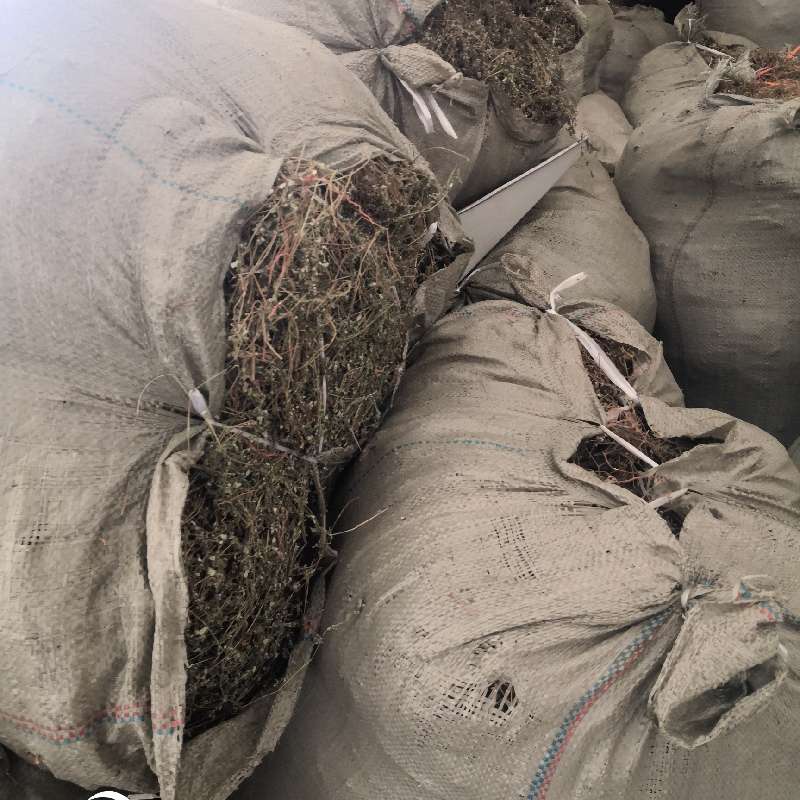 中药材