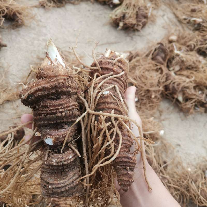 产品供应图