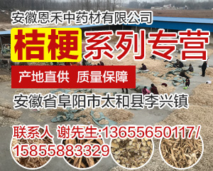 PC首页搜索结果-桔梗
