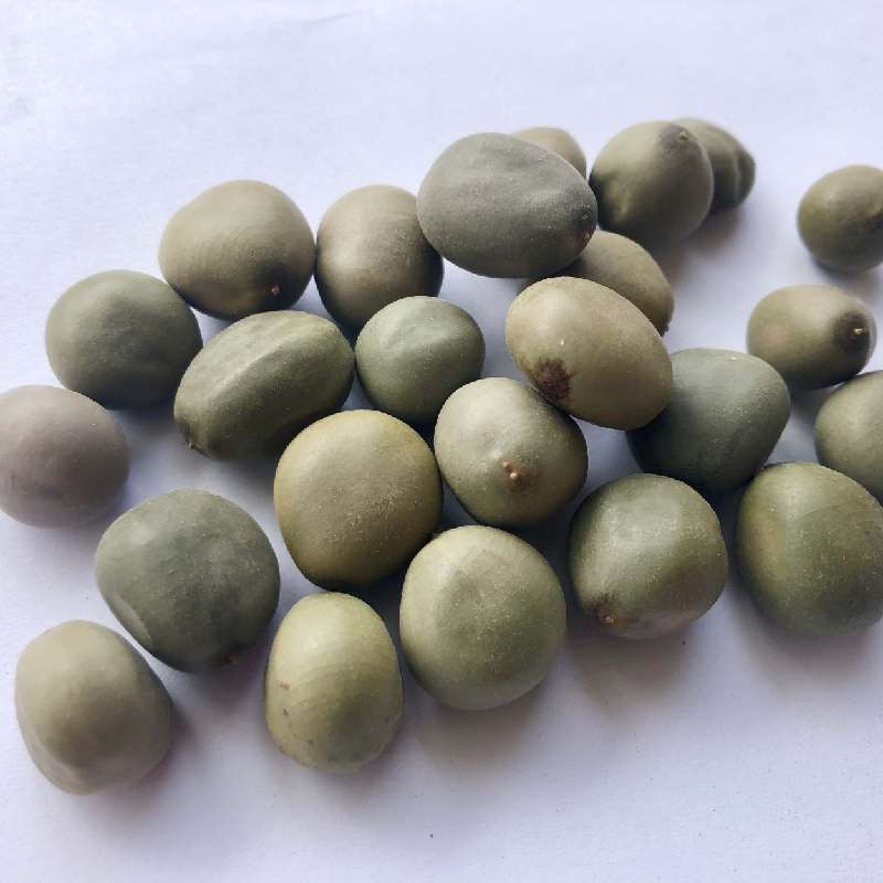 中药材