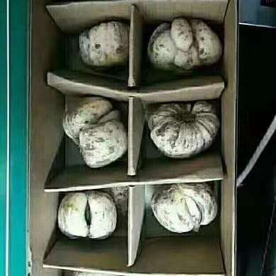 产品供应图
