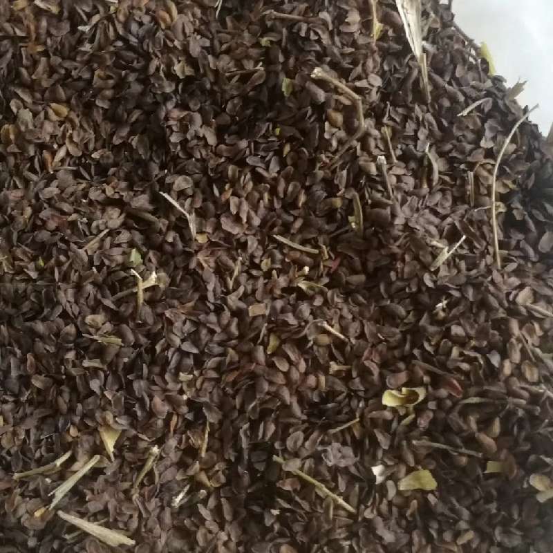 中药材