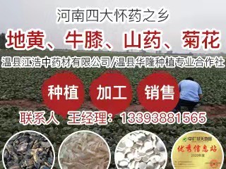 中药材