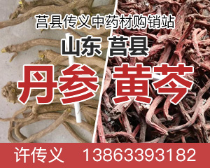 PC品种供应列表右侧-黄芩