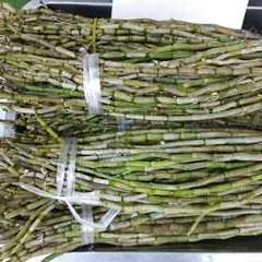 产品供应图
