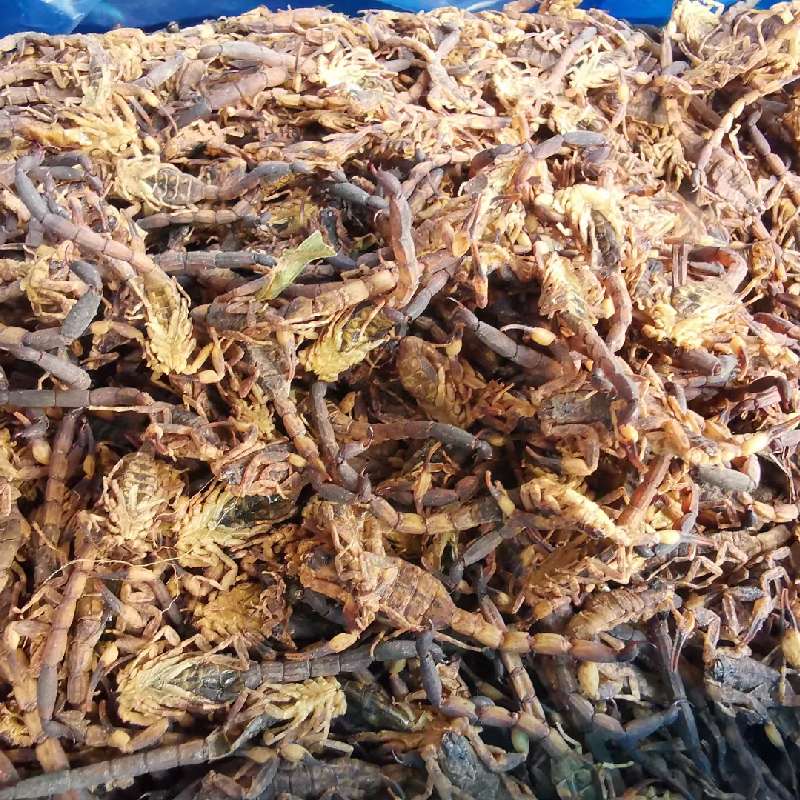 中药材