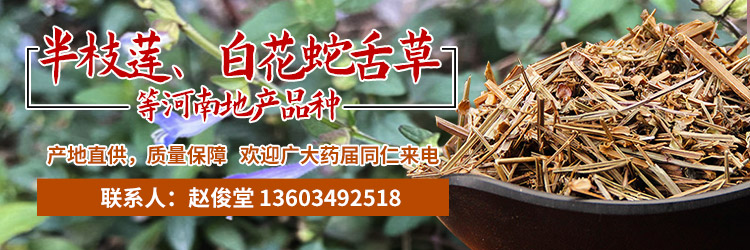 APP产地快讯详情页-半枝莲-赵俊堂