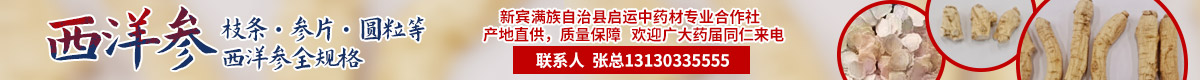 PC首页搜索结果顶部-西洋参