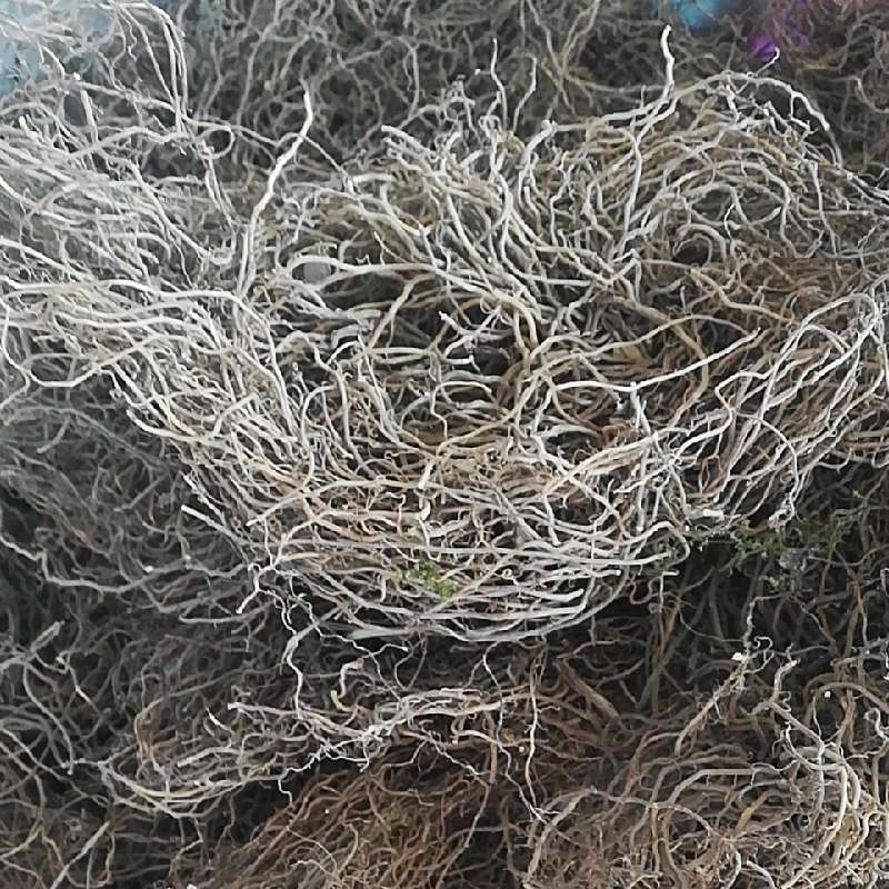 00元/公斤  规格:  全根 供应数量:1吨 起售量: 100公斤 可供票据:不