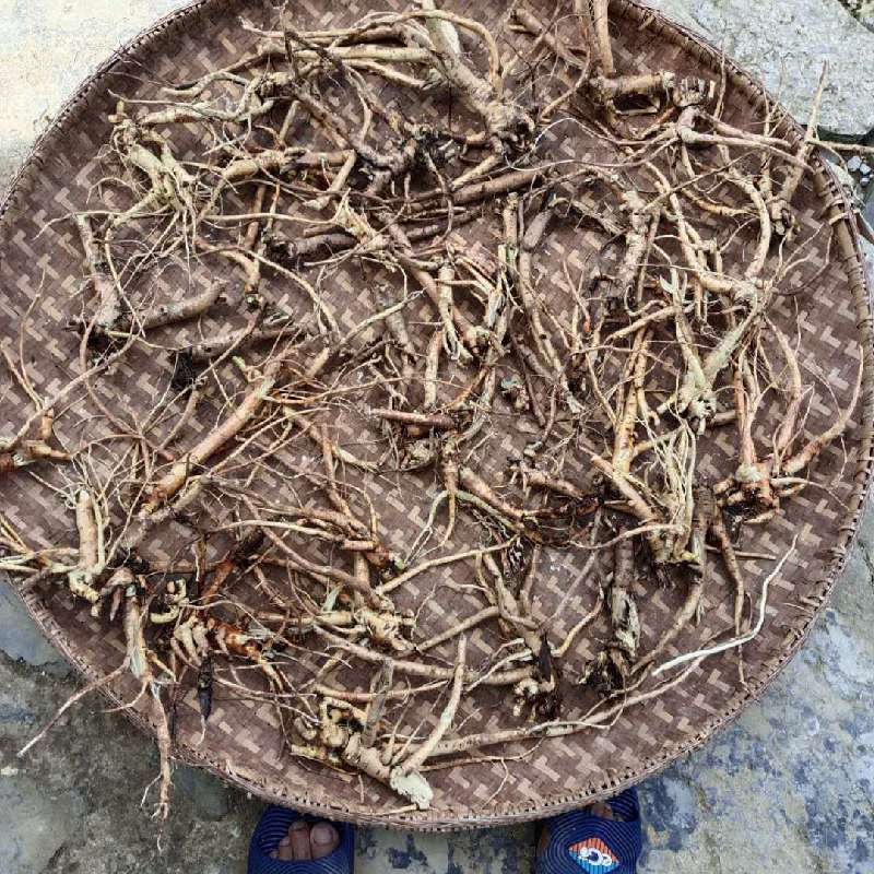 中药材