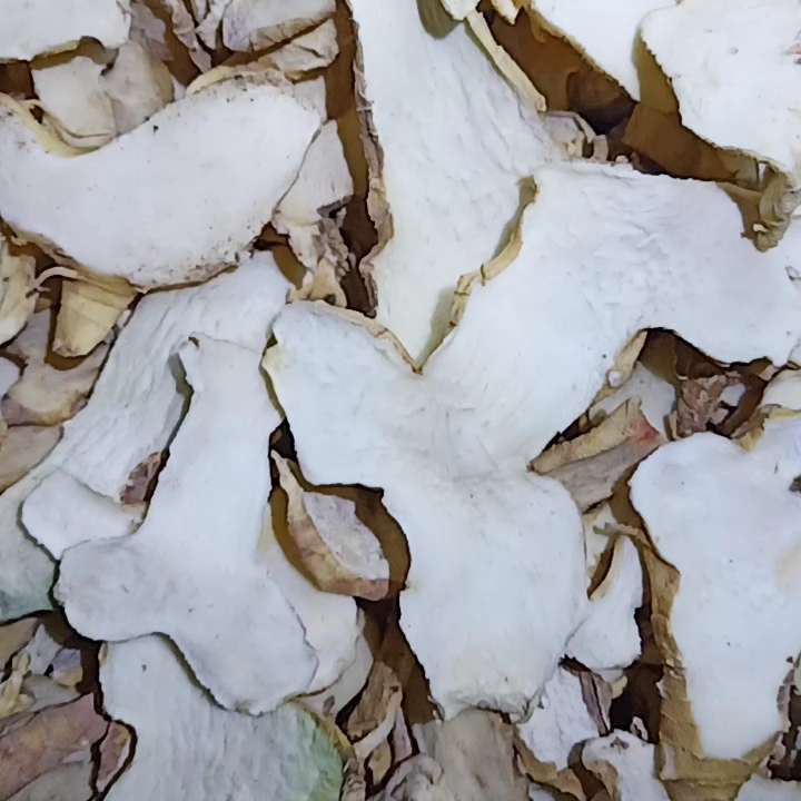 中药材