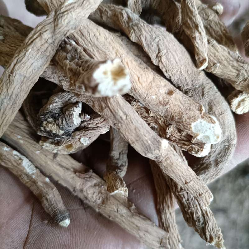 中药材