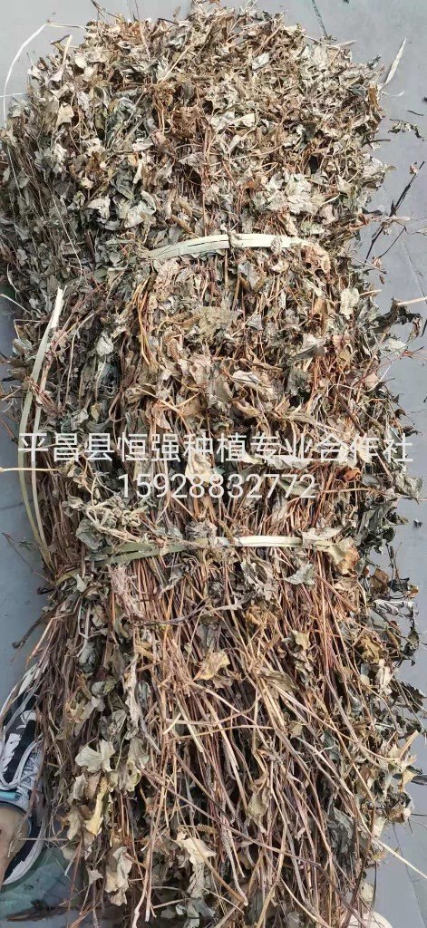 中药材