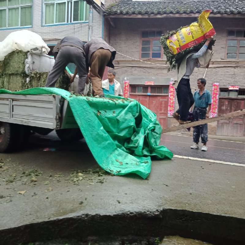 产品供应图