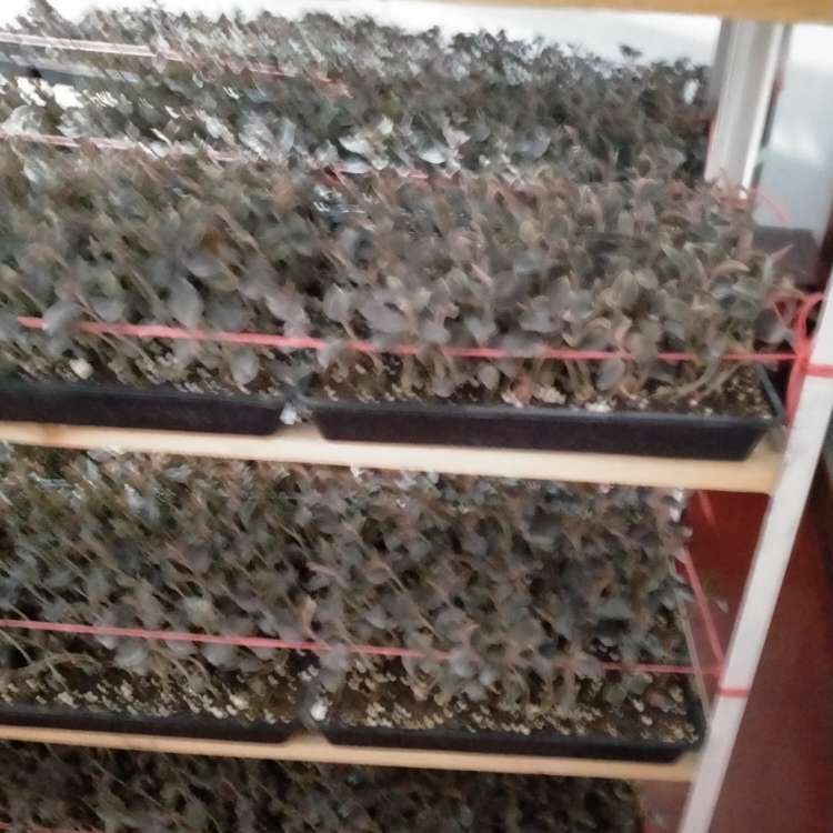 产品供应图