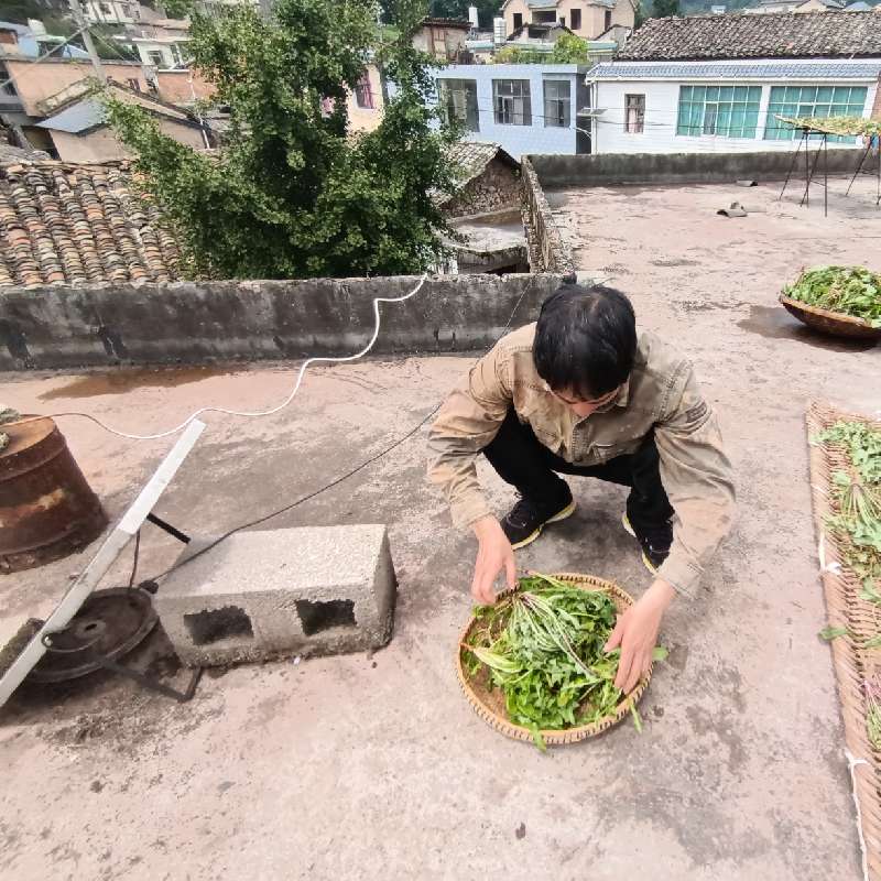 中药材