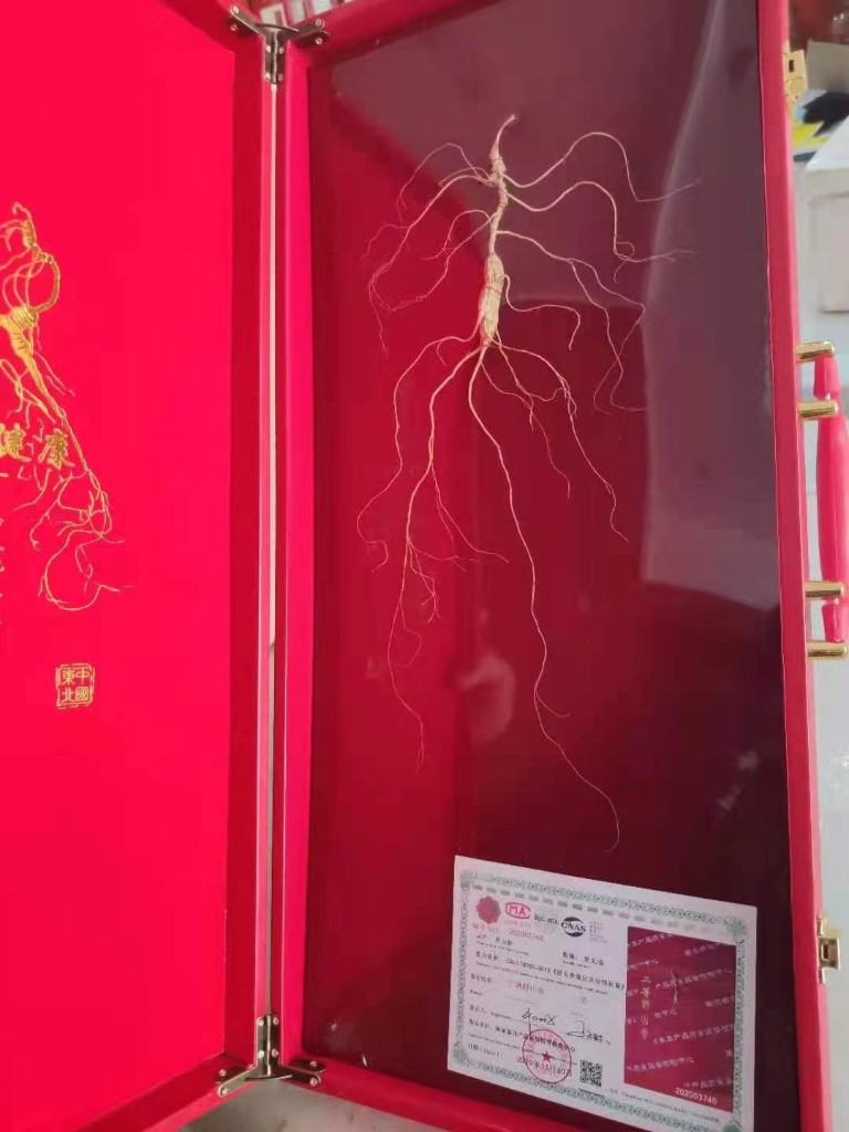 中药材