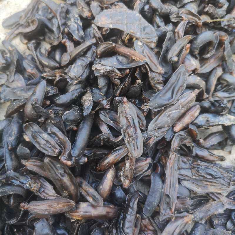 产品供应图