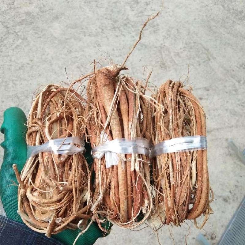 中药材