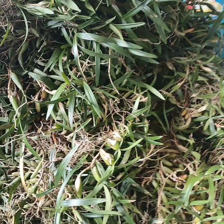 产品供应图
