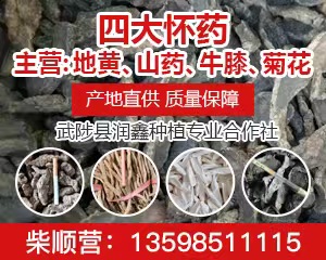 PC首頁搜索結果-地黃