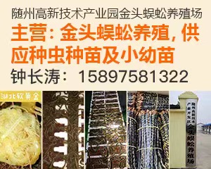 PC首页搜索结果-蜈蚣