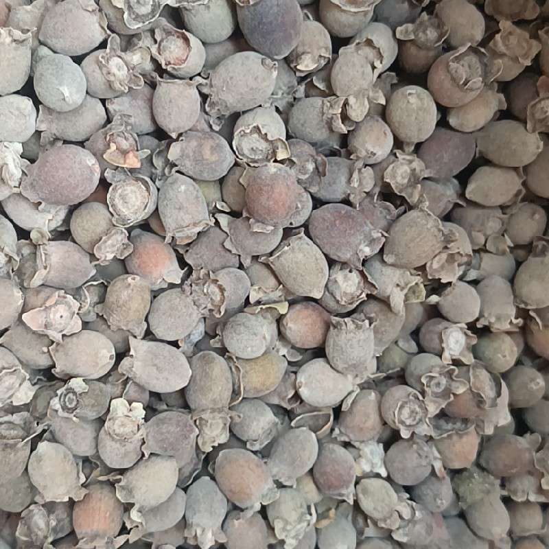 中药材