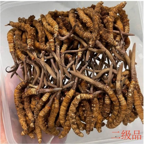 产品供应图