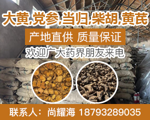 PC首頁搜索結果-大黃