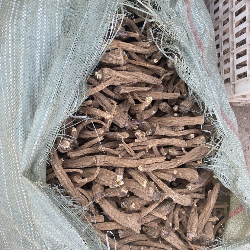 中药材