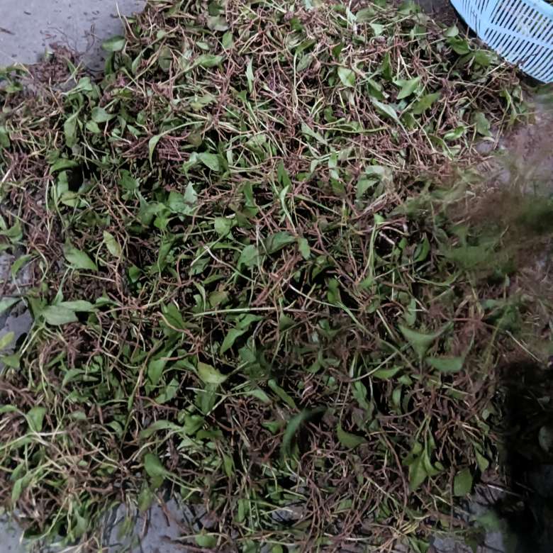 产品供应图
