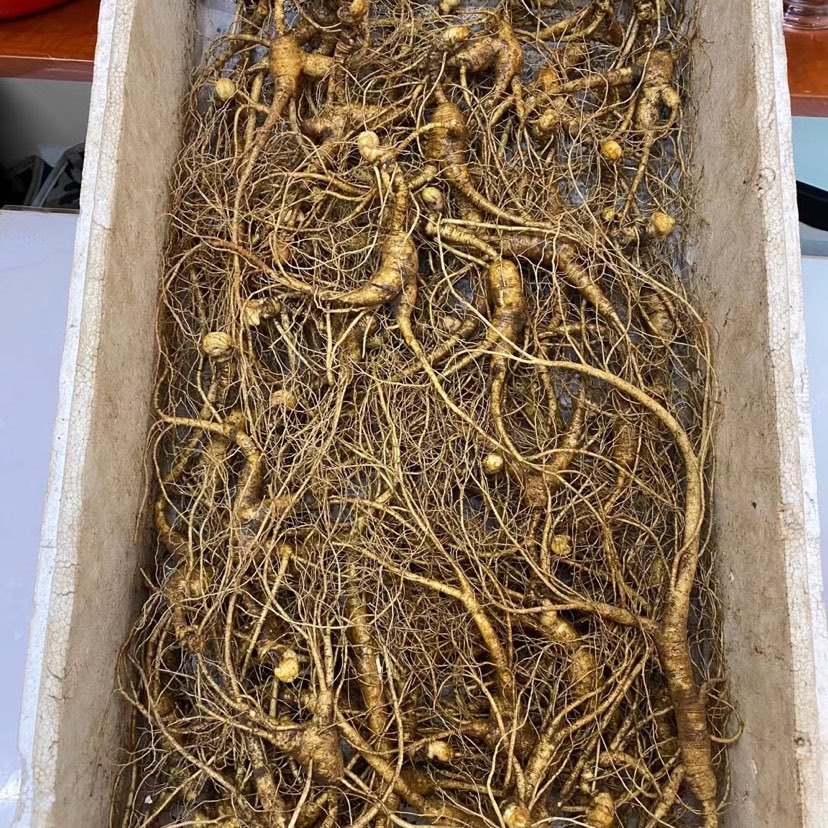 中药材