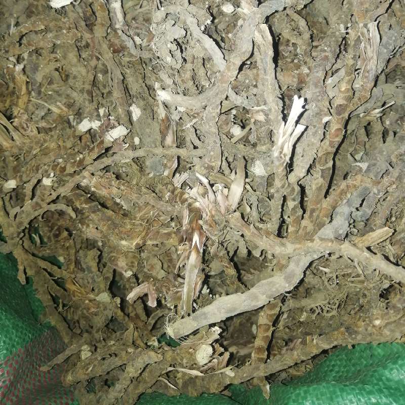 中药材