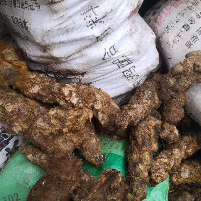 产品供应图