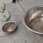 中药材