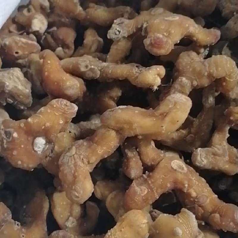 中药材